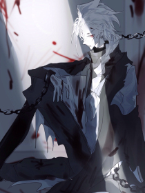 狼友视频不迷路官网